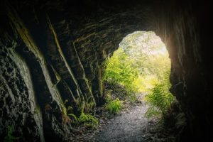 Shadowy cave exit, with green plants on the outside and sun shining.