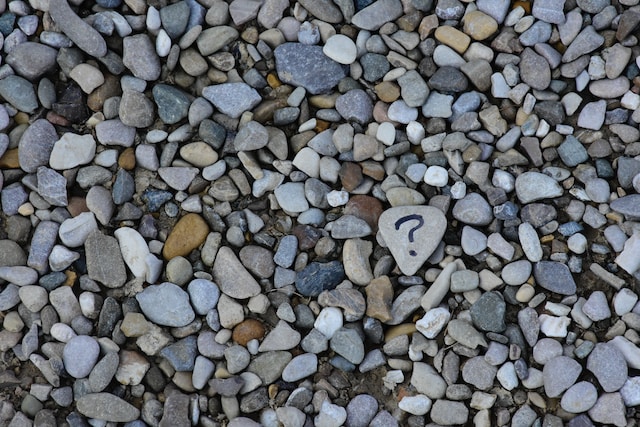 Small rocks and pebbles scattered on the ground. One larger rock has a question mark written on it in black marker.