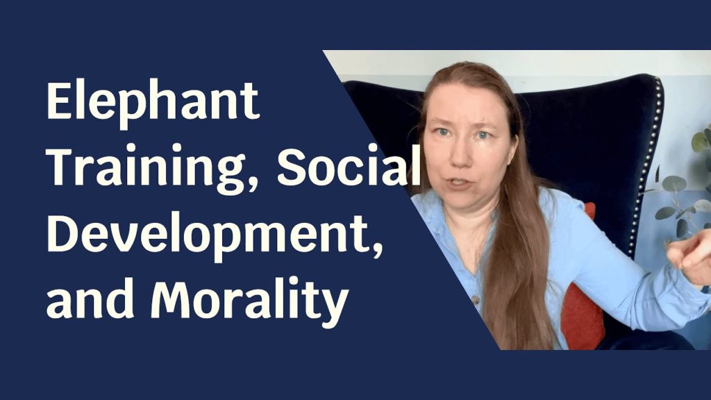 Blue solid foreground with text "Elephant Training, Social Development, and Morality" and to the side a picture of a pale skinned woman in a blue shirt.