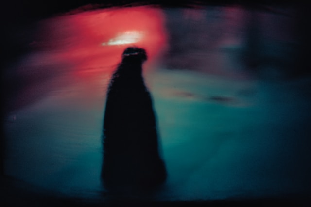 A vague silhouette with a blurry red and blue background.