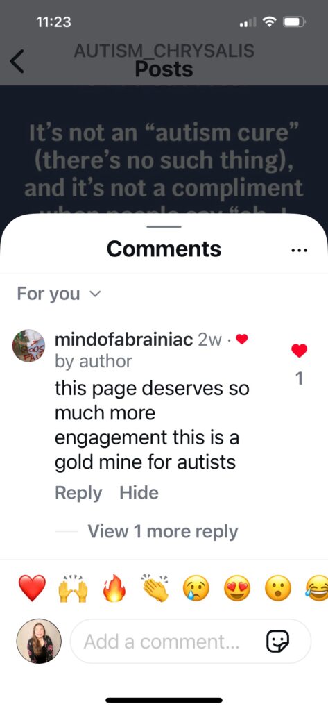 Screenshot of Instagram comment: "This page deserves so much more engagement this is a gold mine for autists”