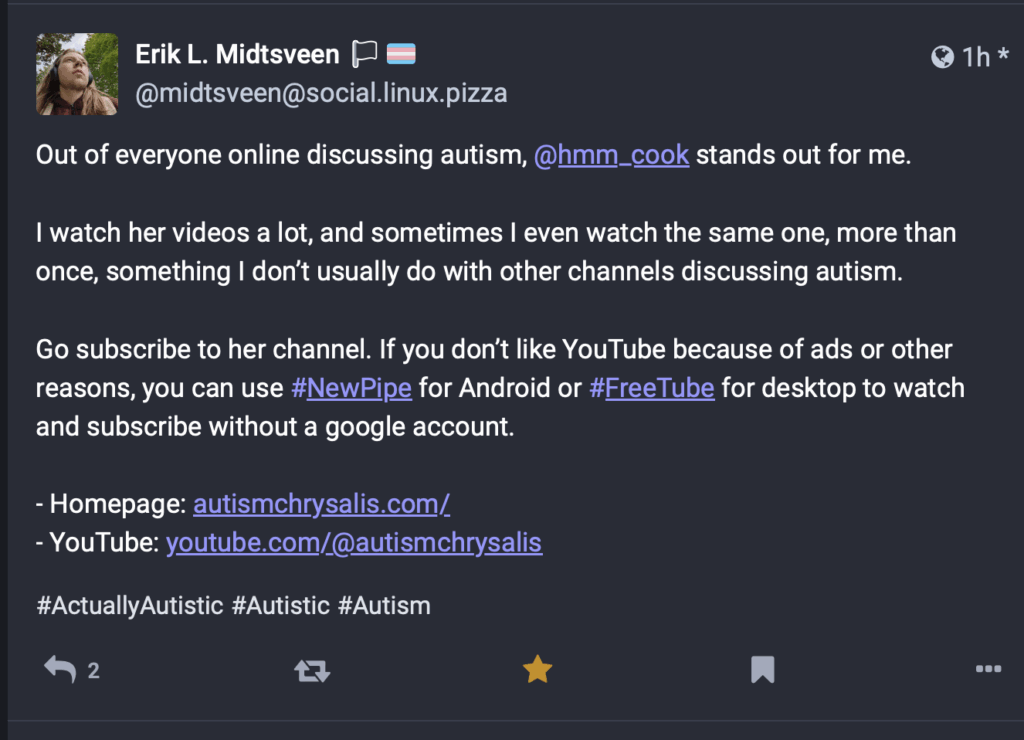 Screenshot of Mastadon comment: "Out of everyone online discussing autism, @hmm_cook stands out for me. I watch her videos a lot, and sometimes I even watch the same one, more than once, something I don't usually do with other channels discussing autism. Go subscribe to her channel."
