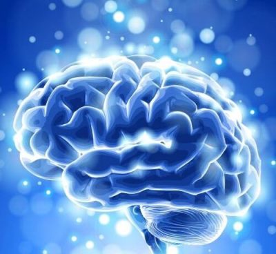 A human brain in front of a sparkly blue and white background.